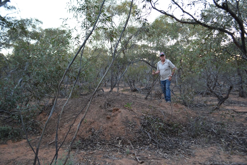 Kevin Oakley Mallee fowl mound