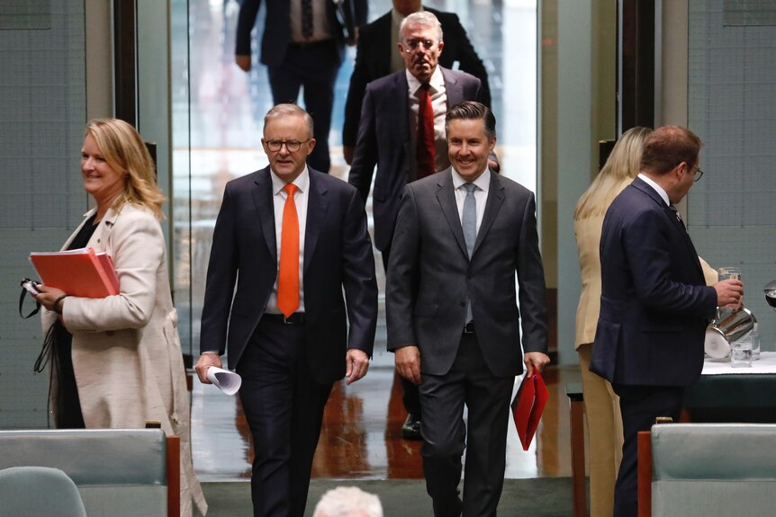 Albanese and Butler smile as they walk through a set of doors into the lower house chambers, other politicians surround them.
