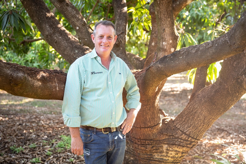 Un hombre de pelo gris se para frente a un árbol de mango con una camiseta de NT Farmers con rayas verdes.