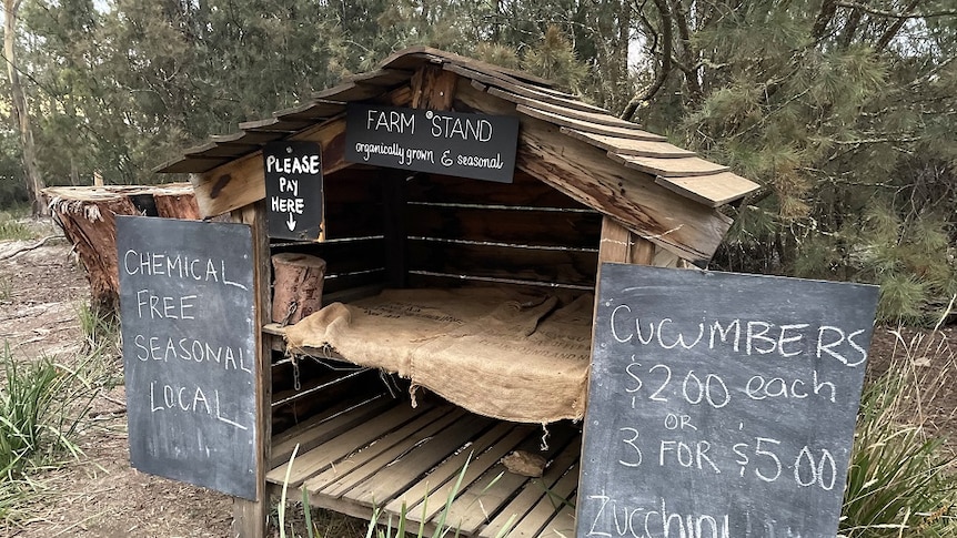 An wooden farm stand with blackboard signage sating 'farm stand', 'cucumbers' and 'please pay here' stands empty by roadside.