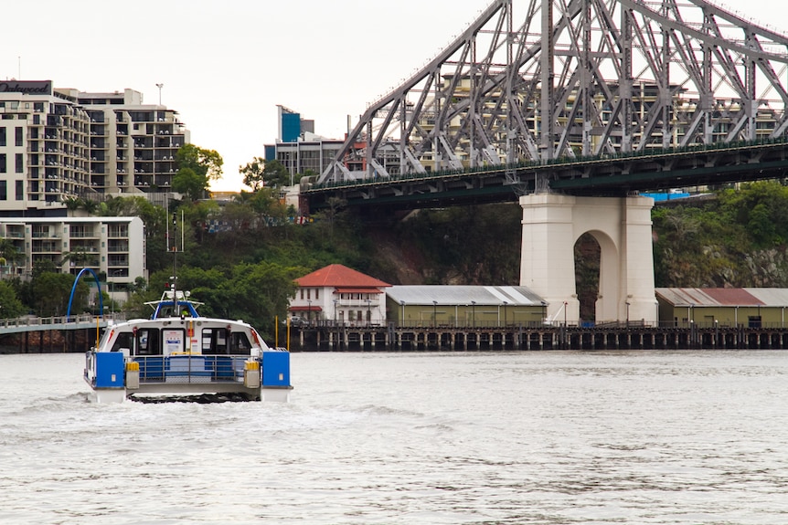 CityCat going north up the Brisbane River under the Story Bridge towards the Sydney Street stop.