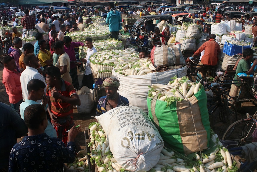 People walk through a market filled with large cloth bags full of radishes.