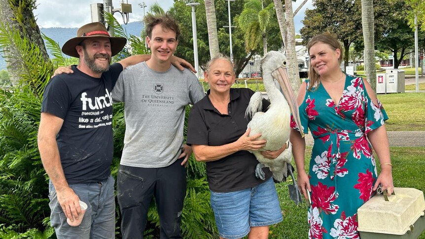 Two men and two women, one holding a pelican, stand smiling in a beachside park.