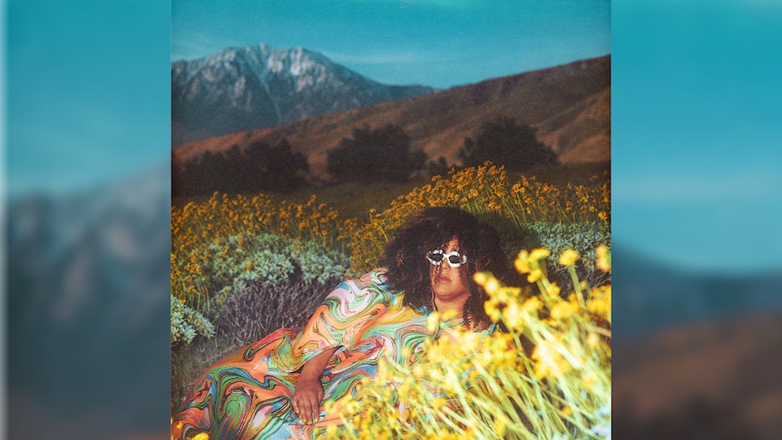 Brittany Howard wears a psychedelic dress and sunglasses, lying on a mountainside field of flowers