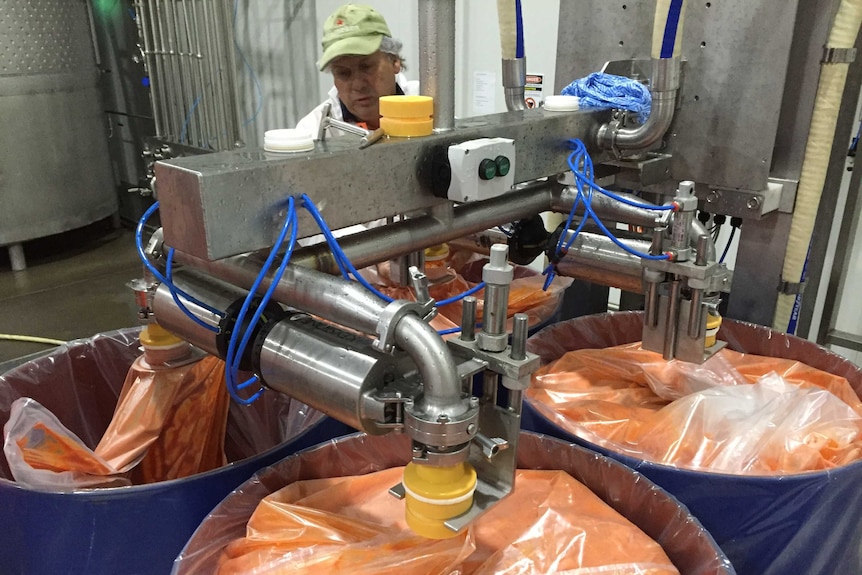 A worker watches as drums are filled with carrot.