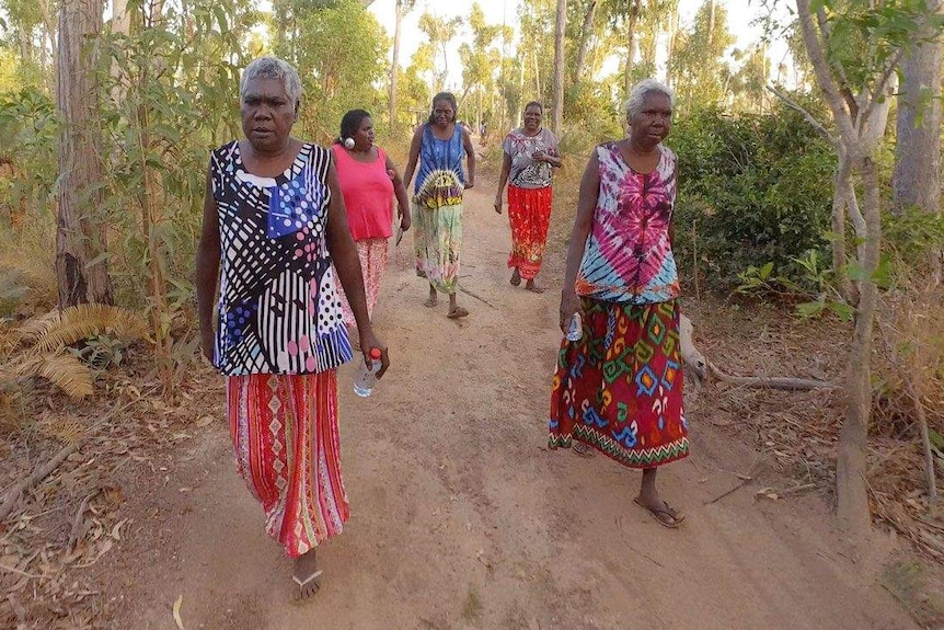 Valerie Bulkunu walks with other women through the bush on Elcho Island