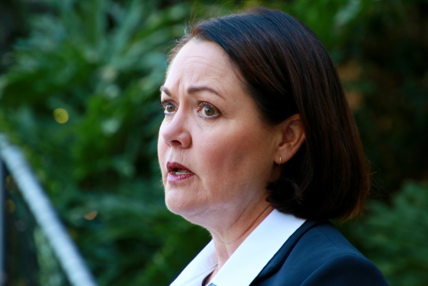 A close-up photo of Liza Harvey wearing a white shirt and dark jacket outside parliament.