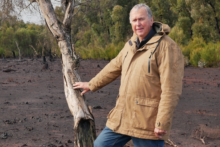 A man in a beige coat stands next to a charred tree in a barren peat swamp.