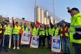Dairy workers at a rally.