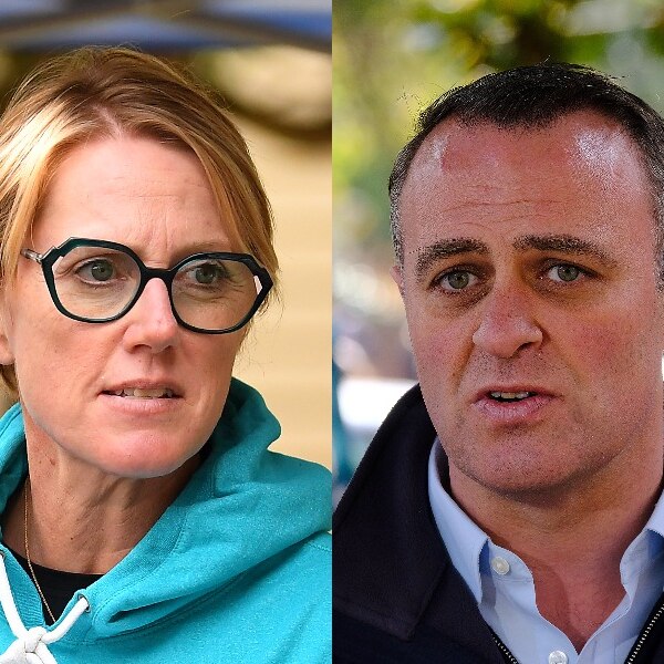 A composite image of Goldstein candidates Zoe Daniel and Liberal Tim Wilson. Both have neutral expressions