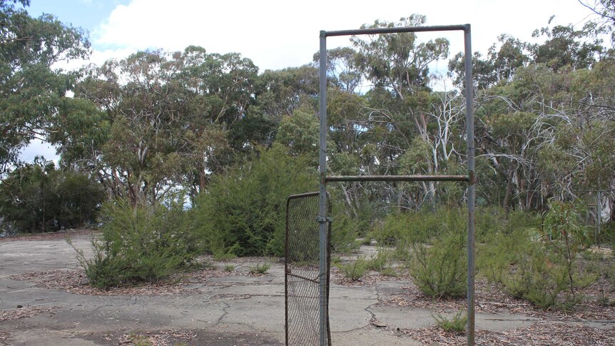 A lone gate stands on an overgrown tennis court