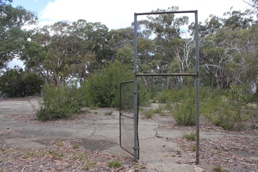 Abandoned concrete tennis courts are overgrown with shrubs and leaf litter, and a solitary gate stands rusting.