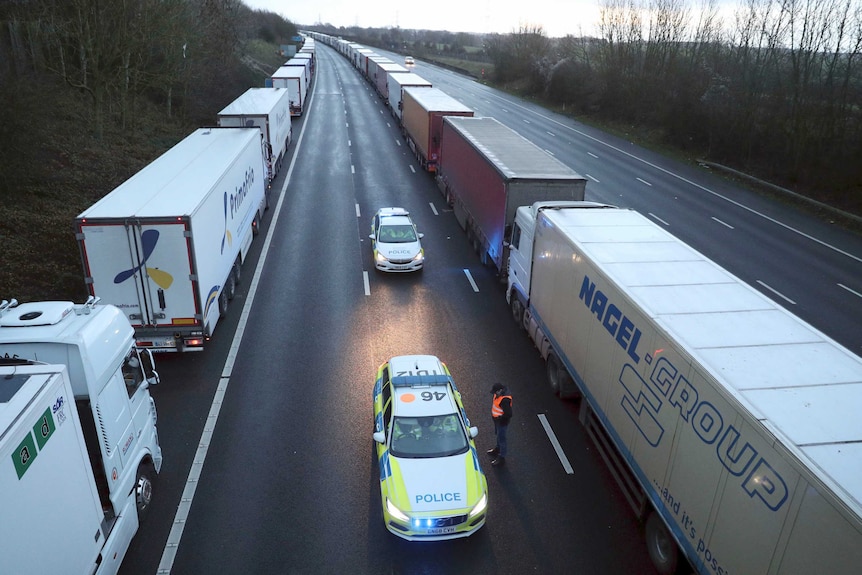 Trucks park along the emergency stopping lanes on a highway.