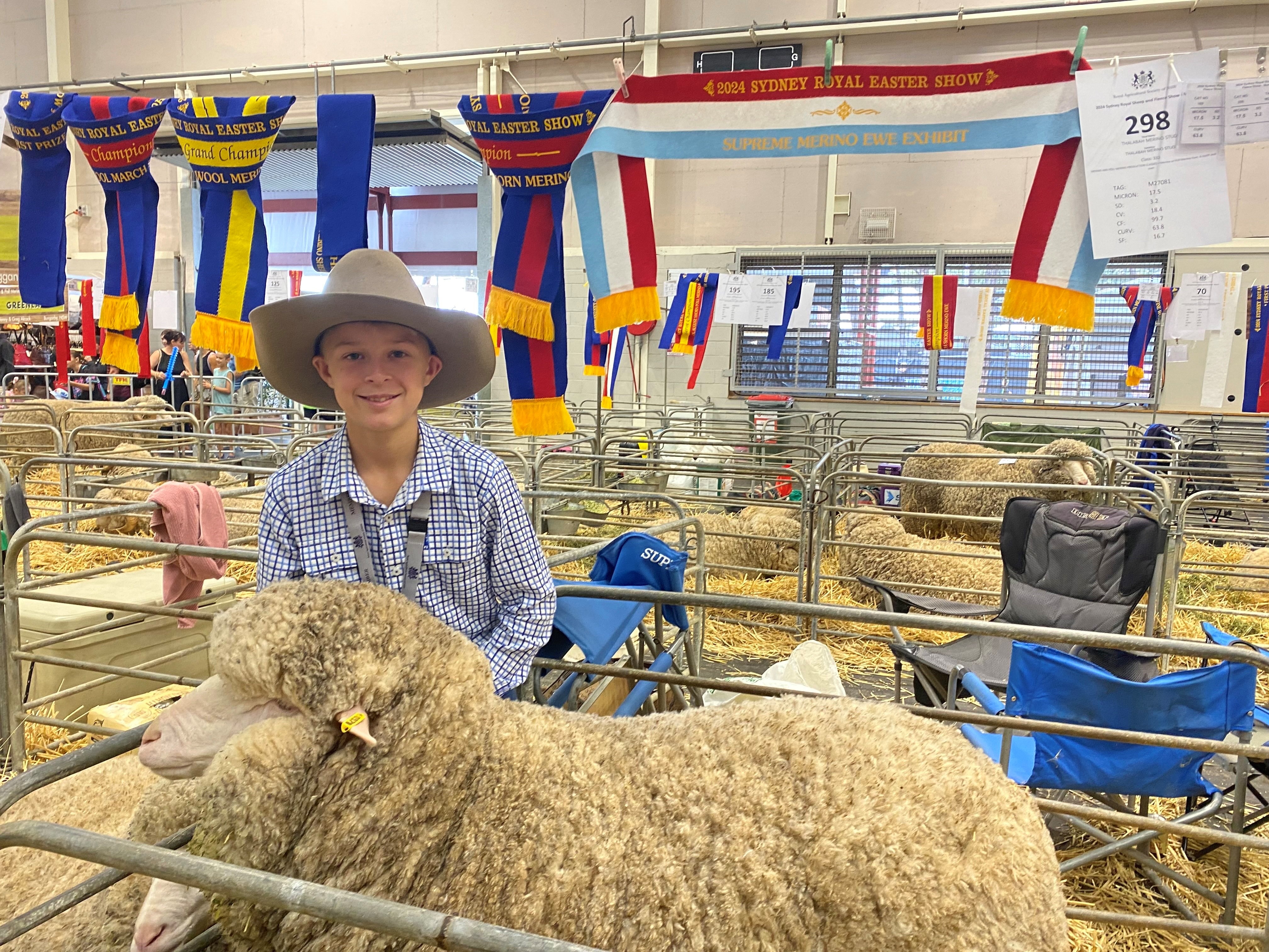 A boy wearing a hat standing with his woolly merino ewe in a pen. 