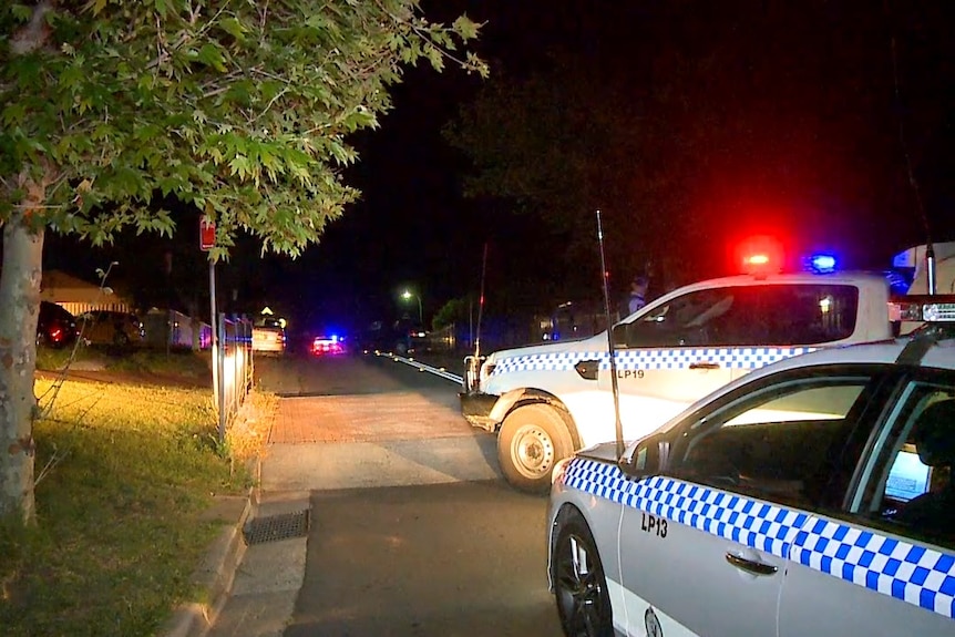 police outside a suburban street at night