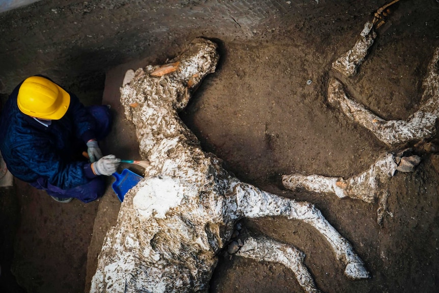 A horse' corpse completely covered in ash lays in the dirt.