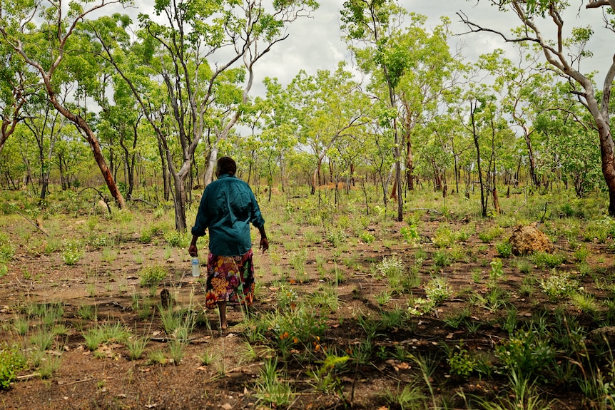 Woman standing in bushland with her back to the camera.