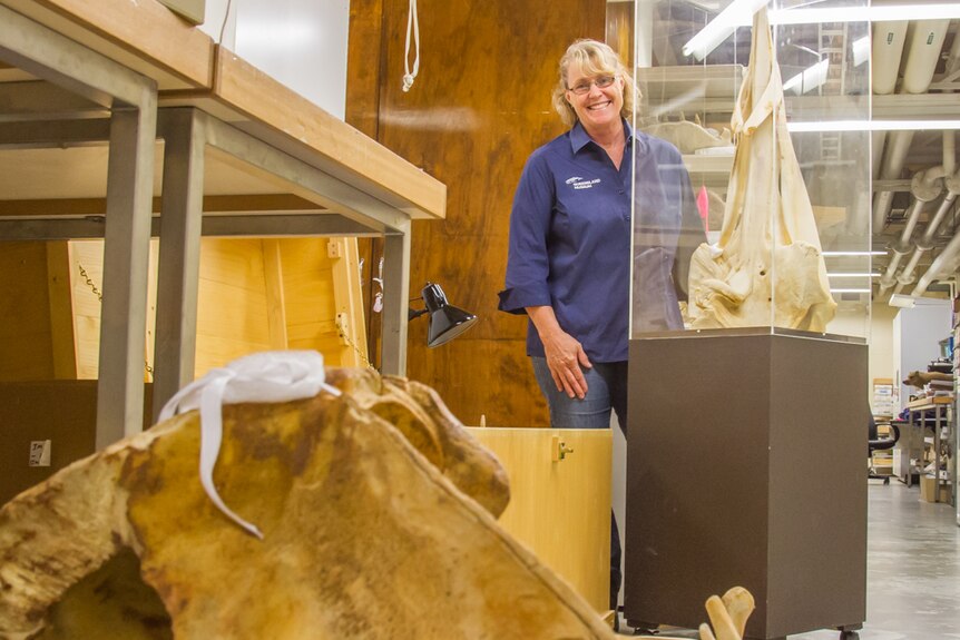 Heather Janetzki works with whale skulls as part of the collection.