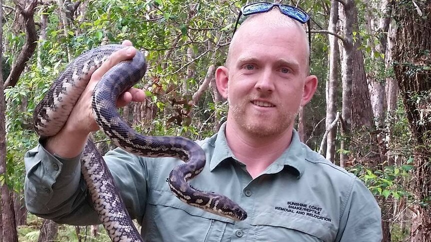 Sunshine Coast snake catcher Stuart McKenzie