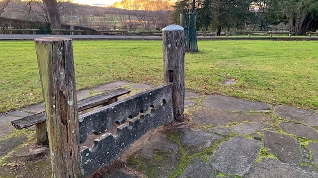 Stocks in park at Westbury.