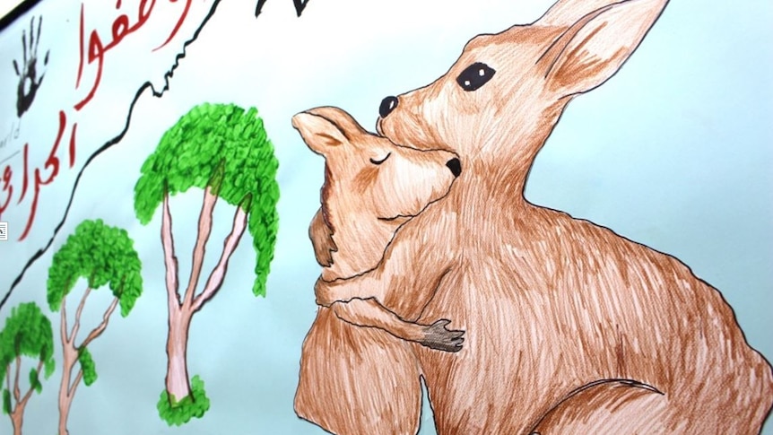 A hand-drawn picture of a kangaroo, with arabic writing wishing victims well