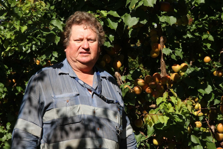 grower standing in front of trees
