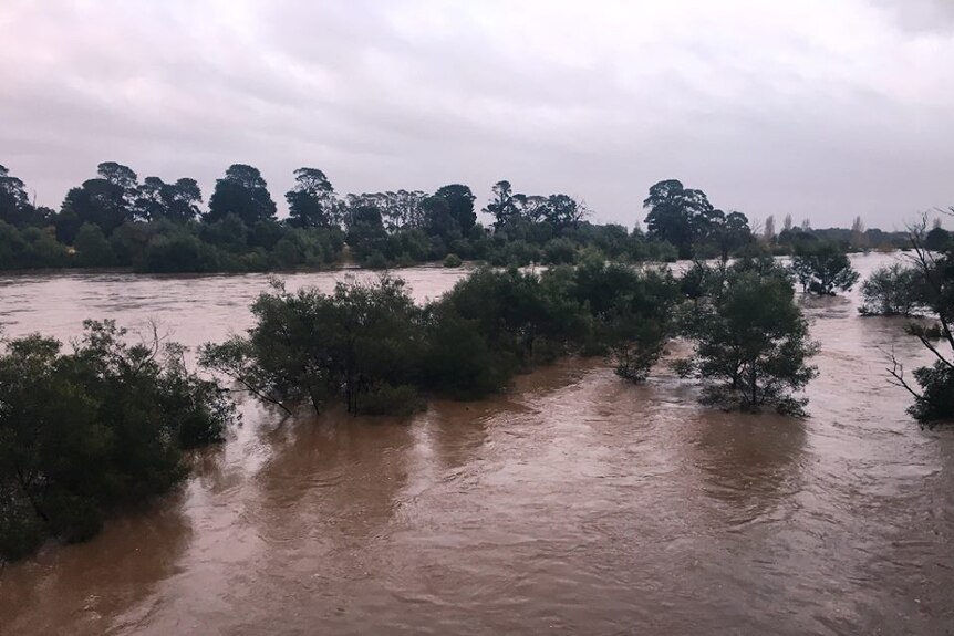 Floodwaters seen at the Avon River in Gippsland