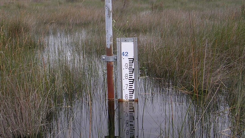 A water gauge at a wetland showing water levels up to the number 6.