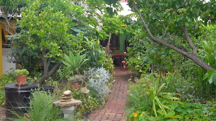 A brick path through a garden leading towards a house.