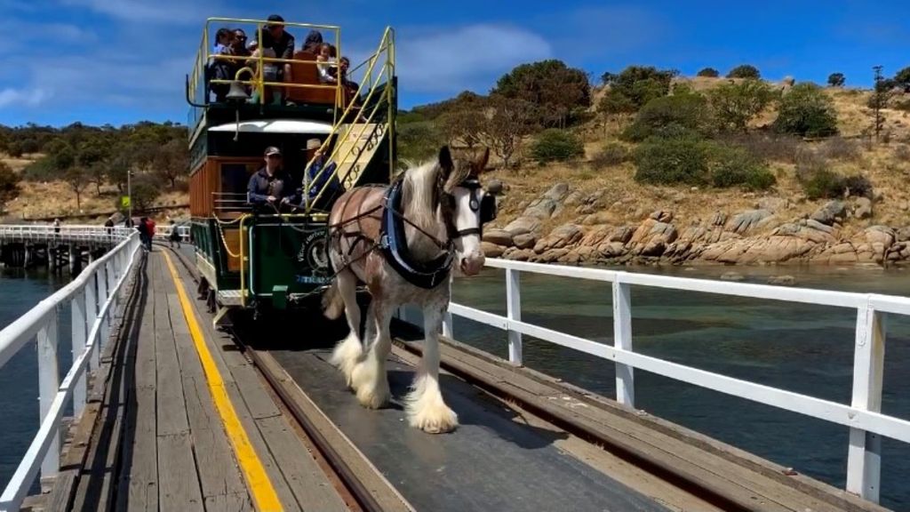 victor-harbor-s-historic-horse-drawn-tram-abc-news