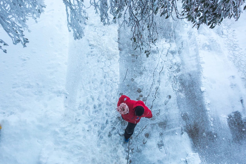 Seen from above, a red-clad worker pops against a white ground.