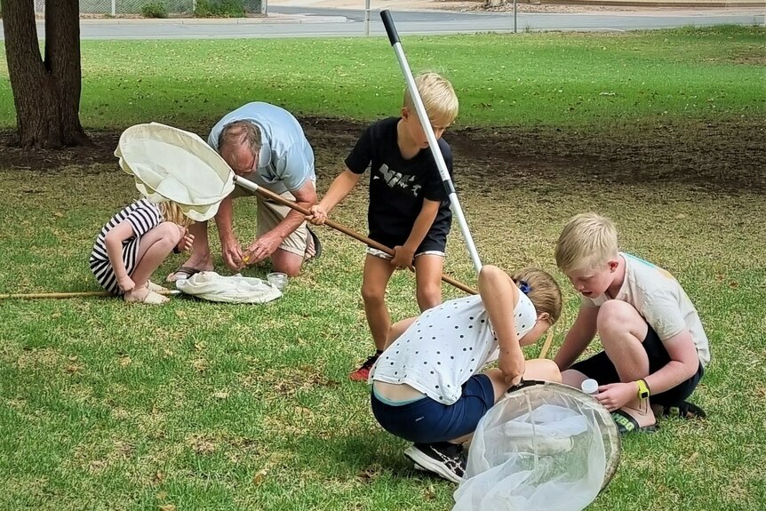 Four children and an older male inspecting small insects outside using nets. The grass is green.