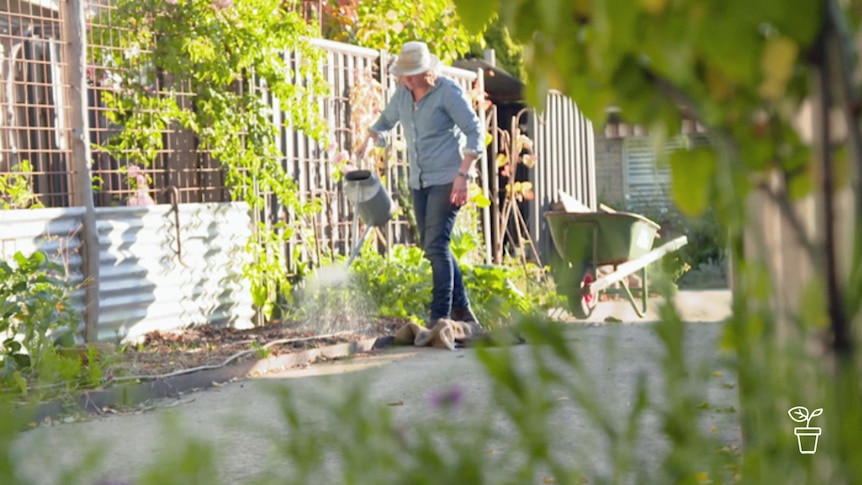 Woman watering garden bed with large metal watering can