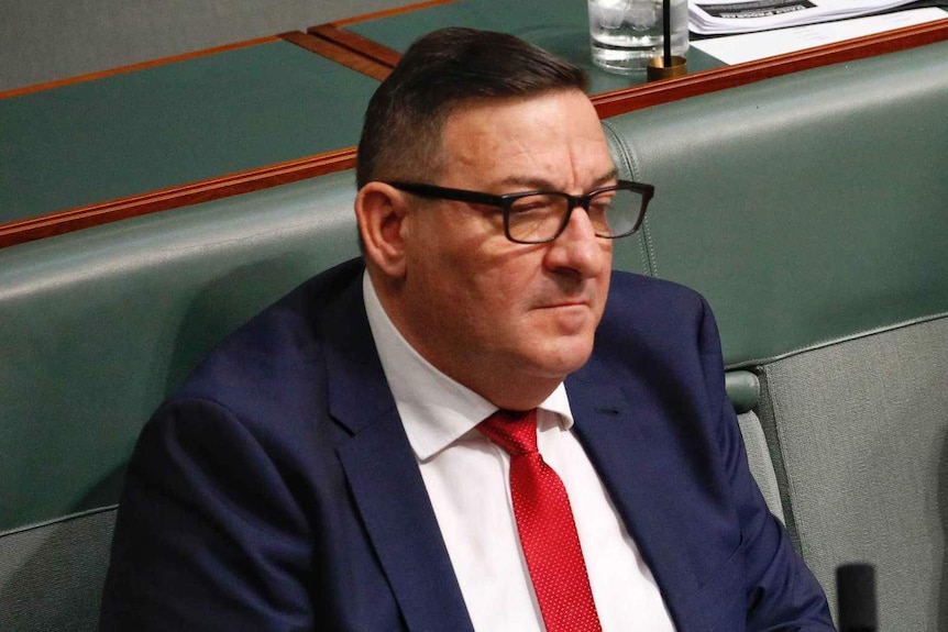 Labor MPs Steve Georganas sits with his hands folded on the desk in front of him in the House of Representatives.
