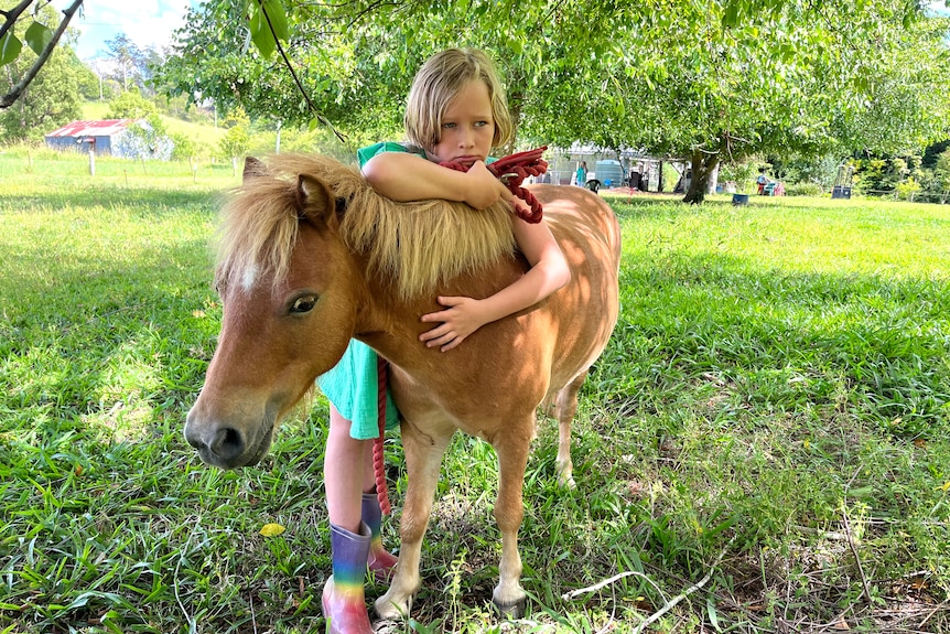 A young girl hugs a miniature, brown horse.