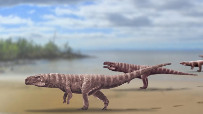 The fossils reveal multiple crocodiles walking on two feet, much like many dinosaurs.