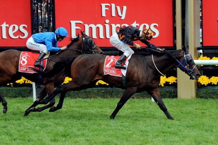 A racing horse crosses the line in front of two others