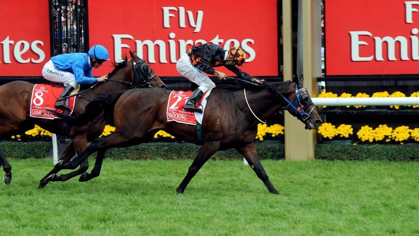 Corey Brown rides Shocking to win the 2009 Melbourne Cup