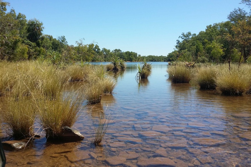 Wattie Creek