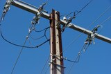 overhead wires on a power pole [stobie pole in Adelaide]