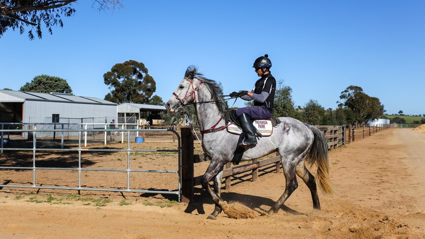 A track rider on a race horse.