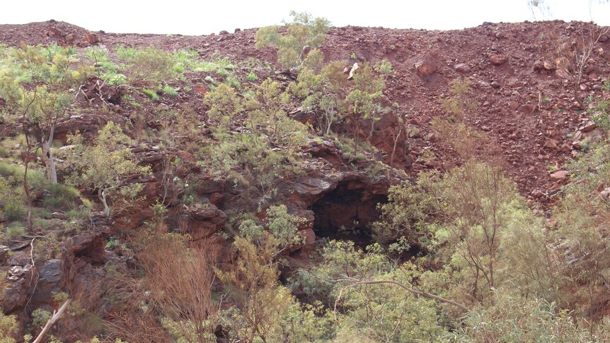 Caves in a red rocky range with sparse vegetation of eucalypyts