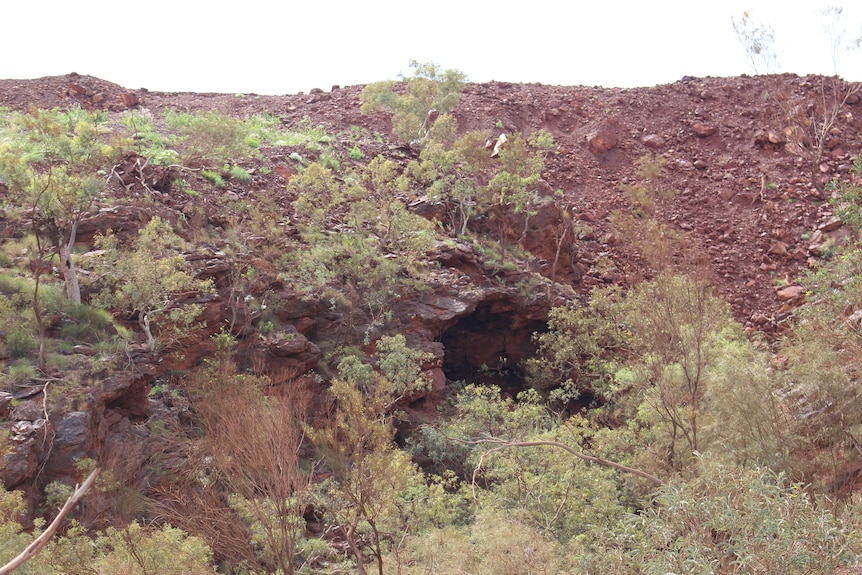 Caves in a red rocky range with sparse vegetation of eucalypyts