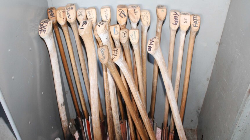 David Foster's current collection of axes