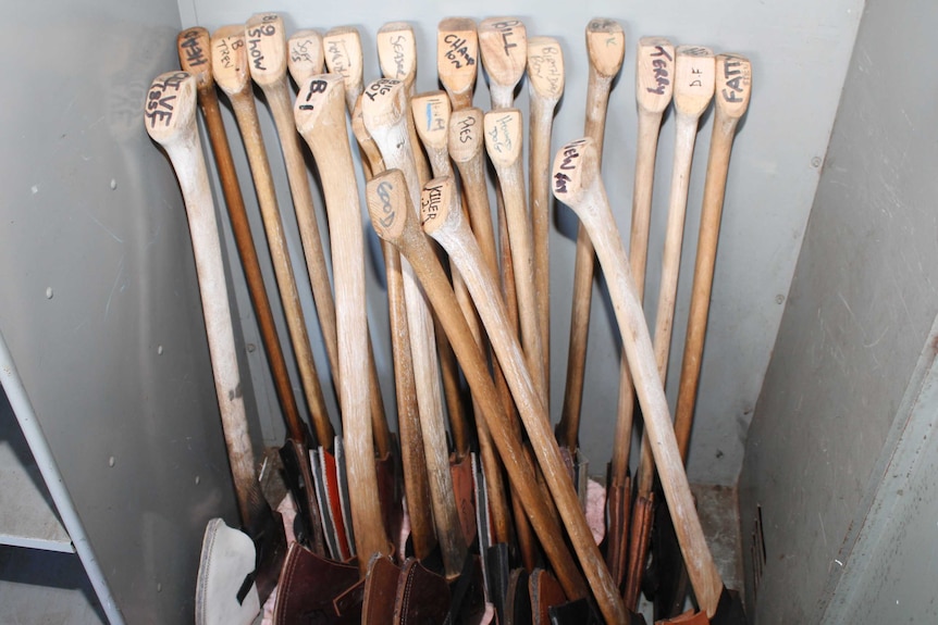 David Foster's current collection of axes