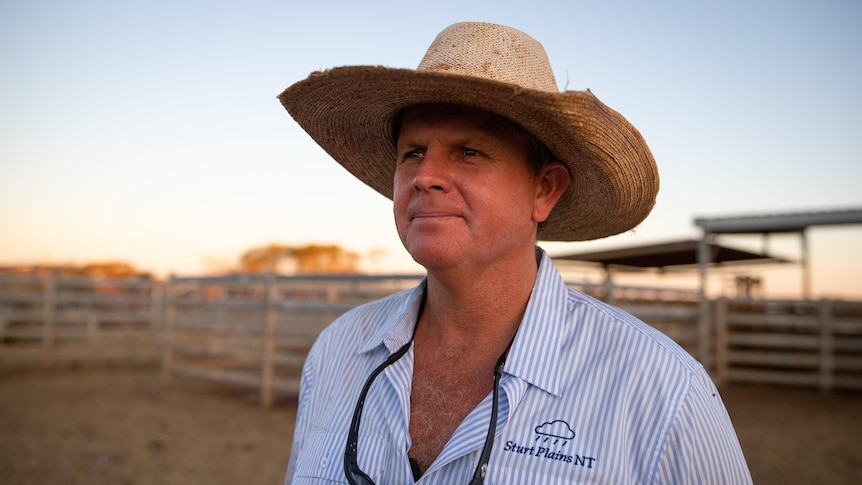 A man stands in a cattle yard, wearing a collared work shirt and broad-brimmed hat. 