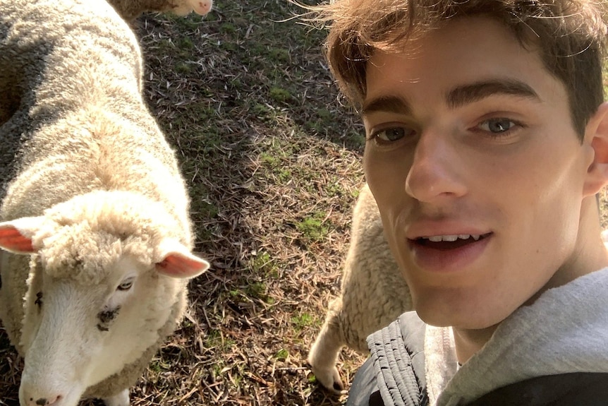 Selfie of a relaxed young man with a sheep.