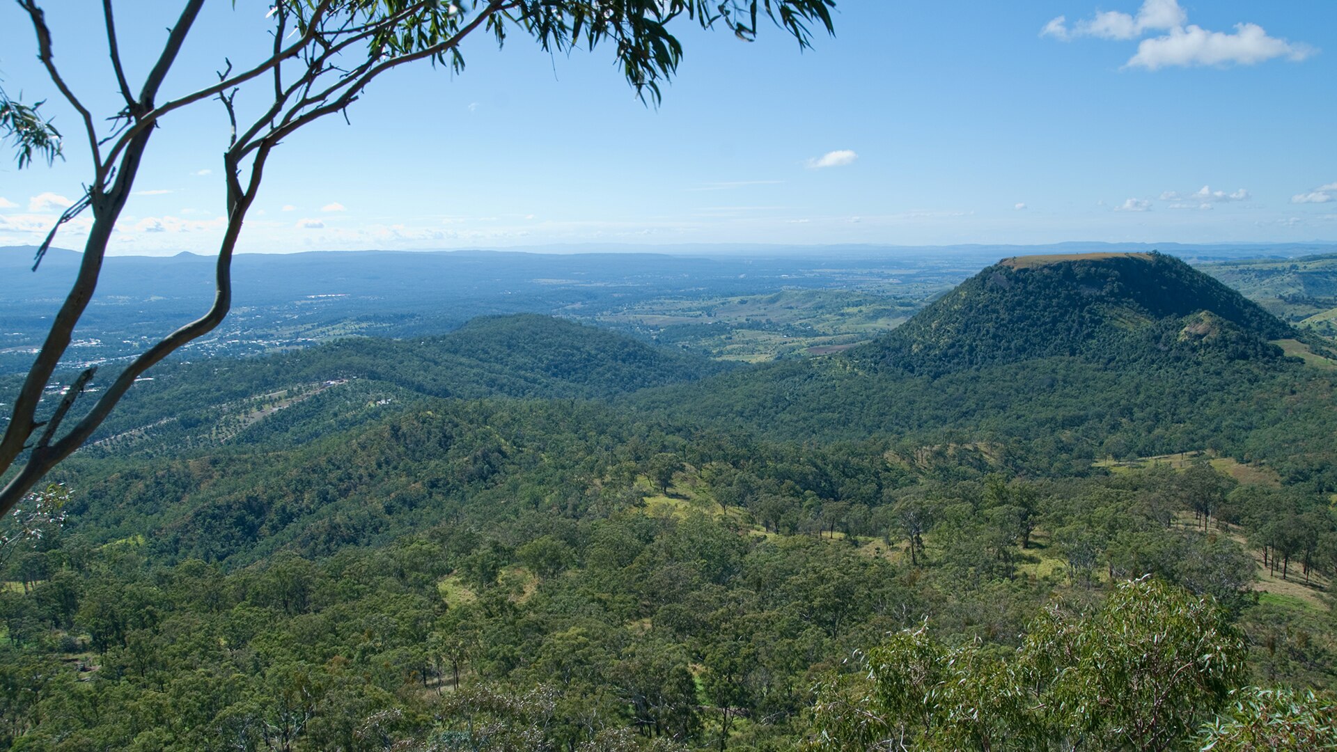 Rolling green hills covered in trees on a bright sunny day with a blue sky