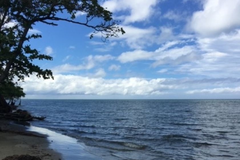 A beach is seen with trees on the left and water on the right. Wispy clouds are in the sky above, which is blue.