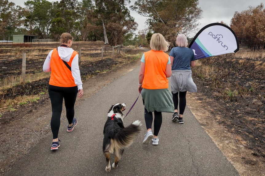 Three women and a dog walk down a track with burnt scrub on the sides.